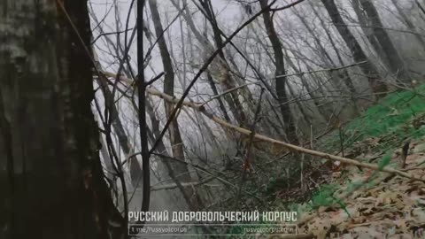 One of the tasks set for the Russian Volunteer Corps in the Kupyansk direction