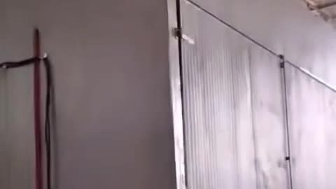 wood drying room