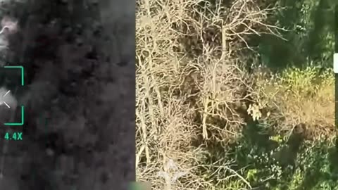 New Footage from Free Russian Army
