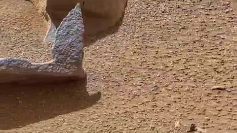 Mars HQ Video