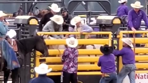 Rodeo Archive 07/08/2023