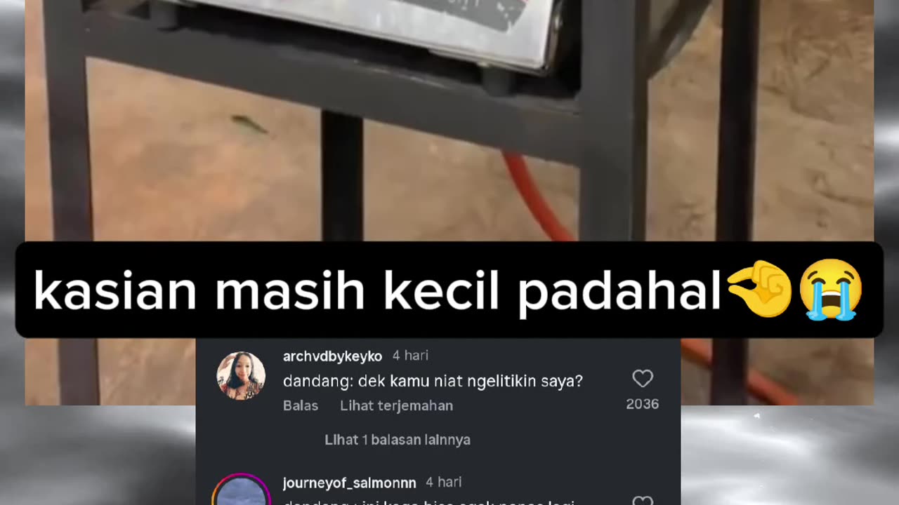 FUNNY MEMES VIDEOS