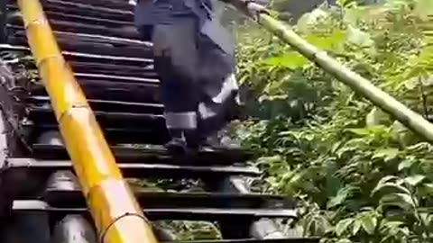compilation of dumb reels funny