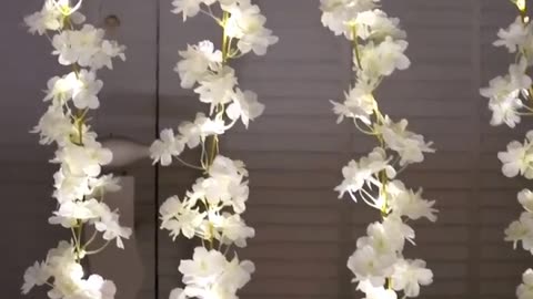 LED Fairy String Lights