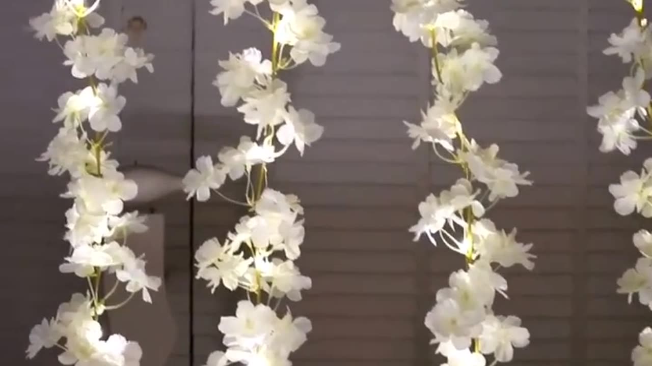 LED Fairy String Lights