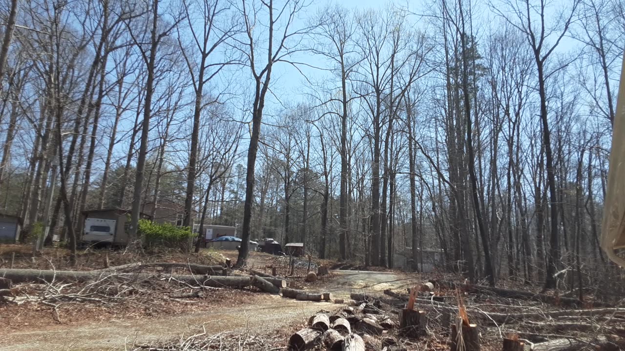 Another Stubborn Tree Down – Thanks Chris!
