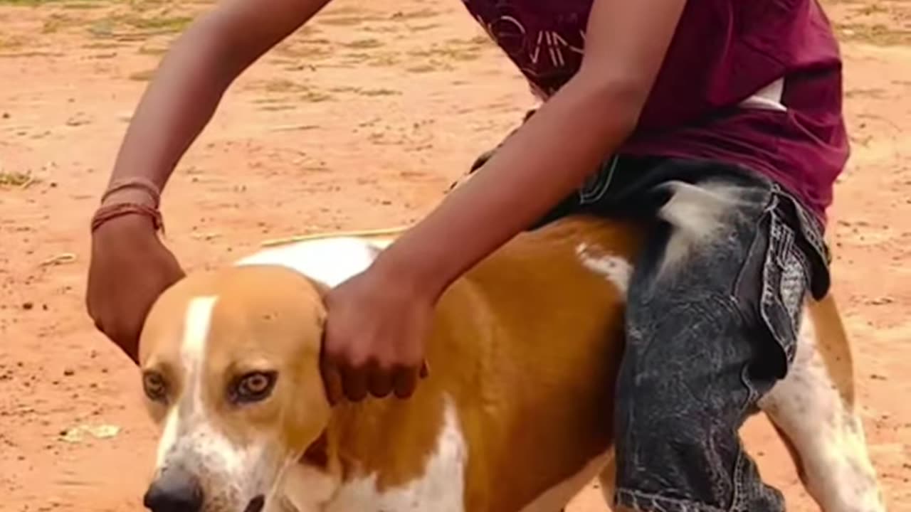 Cute little funny real short video