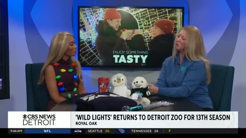 Wild Lights returns to Detroit Zoo for 13th season