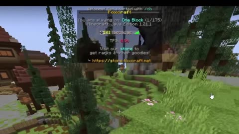 These Pay-to-Win Servers Are RUINING Minecraft
