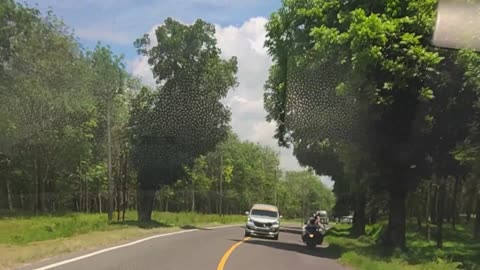 Scenic Out-of-Town Drive Through Beautiful Rubber Plantations