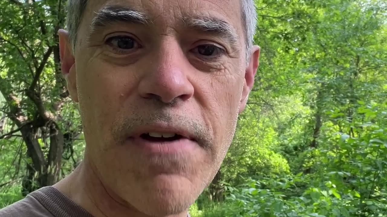 Ten Quick Tips to Improve Your Photography Video Shorts Tip Three: Pathways for Eyes