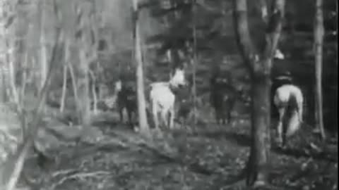 The Great Train Robbery 1903 (Silent movie)