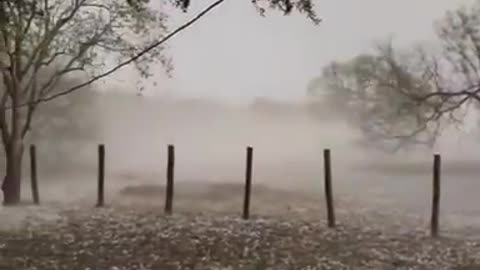 Hail hit the city of Alice, Texas