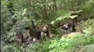 🇷🇺🪖 Ukraine Russia War | Russian Guard Interrogates Captured Ukrainian Saboteurs | RCF