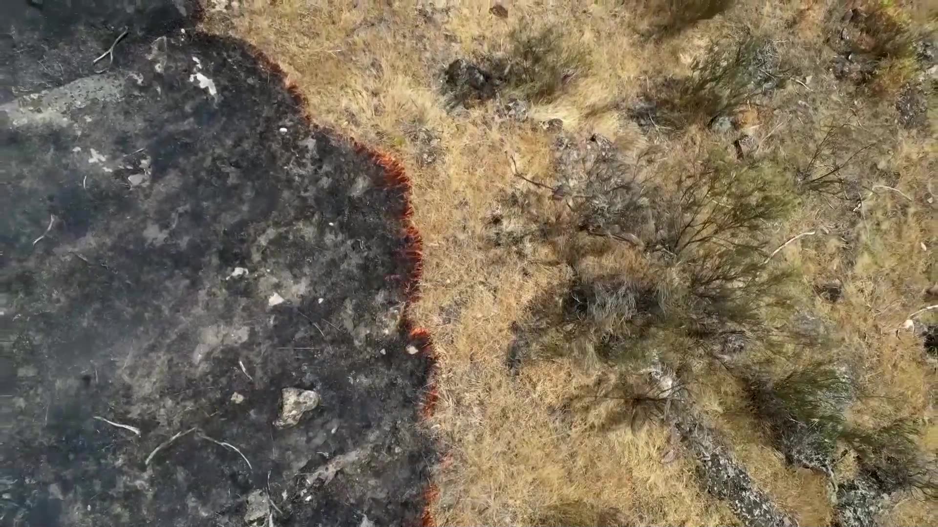 Weather that drove Iberian wildfires 40x more likely due to climate change, report says