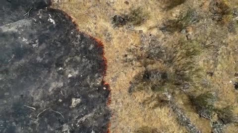 Weather that drove Iberian wildfires 40x more likely due to climate change, report says