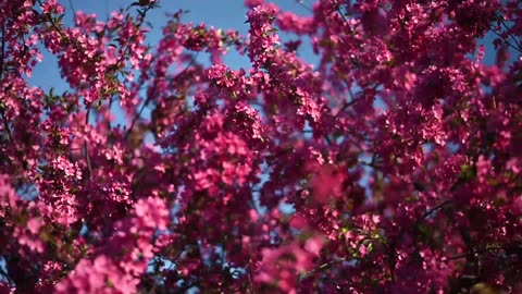 Until The End - Fashion Film