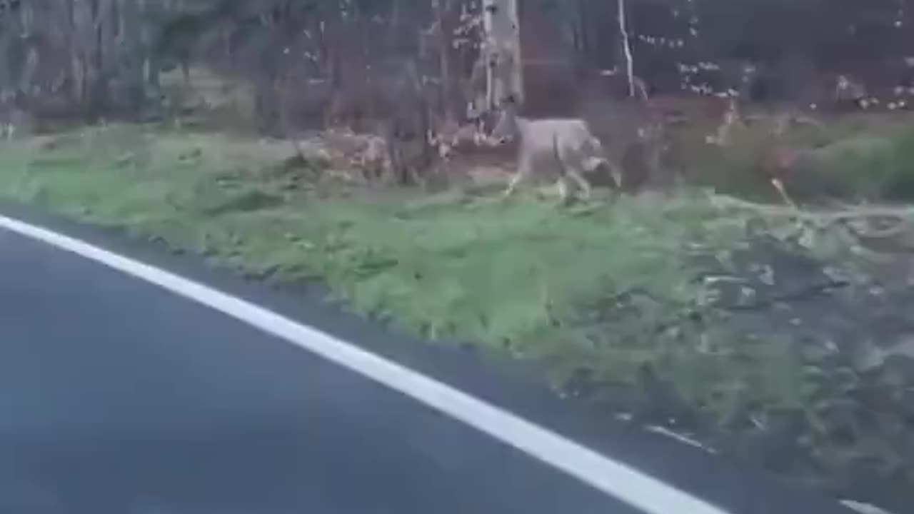 Saved Bro