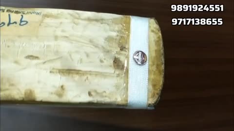 CEAT bat for repairing broken cricket bat