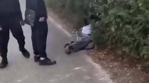 Belgium: Two Coudenhove Kalergi bullies exert their dominance over an indigenous goyim boy.