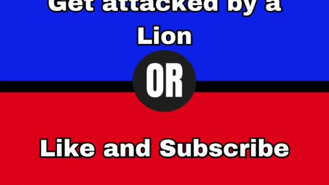 Would you rather?