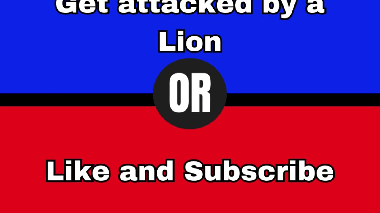Would you rather?