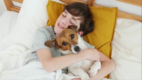 Your Pet Owns the Bed — And Your Nervous System Knows Why