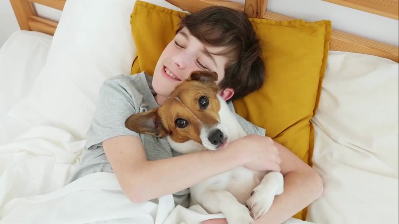 Your Pet Owns the Bed — And Your Nervous System Knows Why