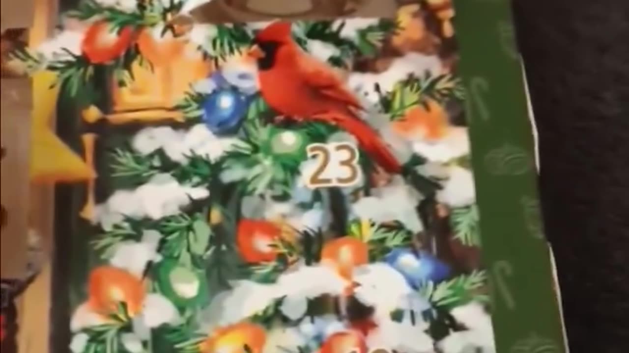 Kickoff to the 2023 Advent Calendar: Day 19 Revealed!