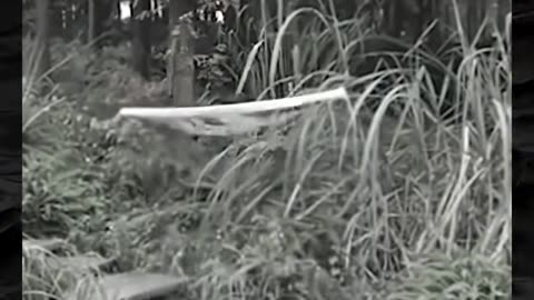 👀💀 Creepy Shadows Caught Moving on Camera! | TheHauntingHour