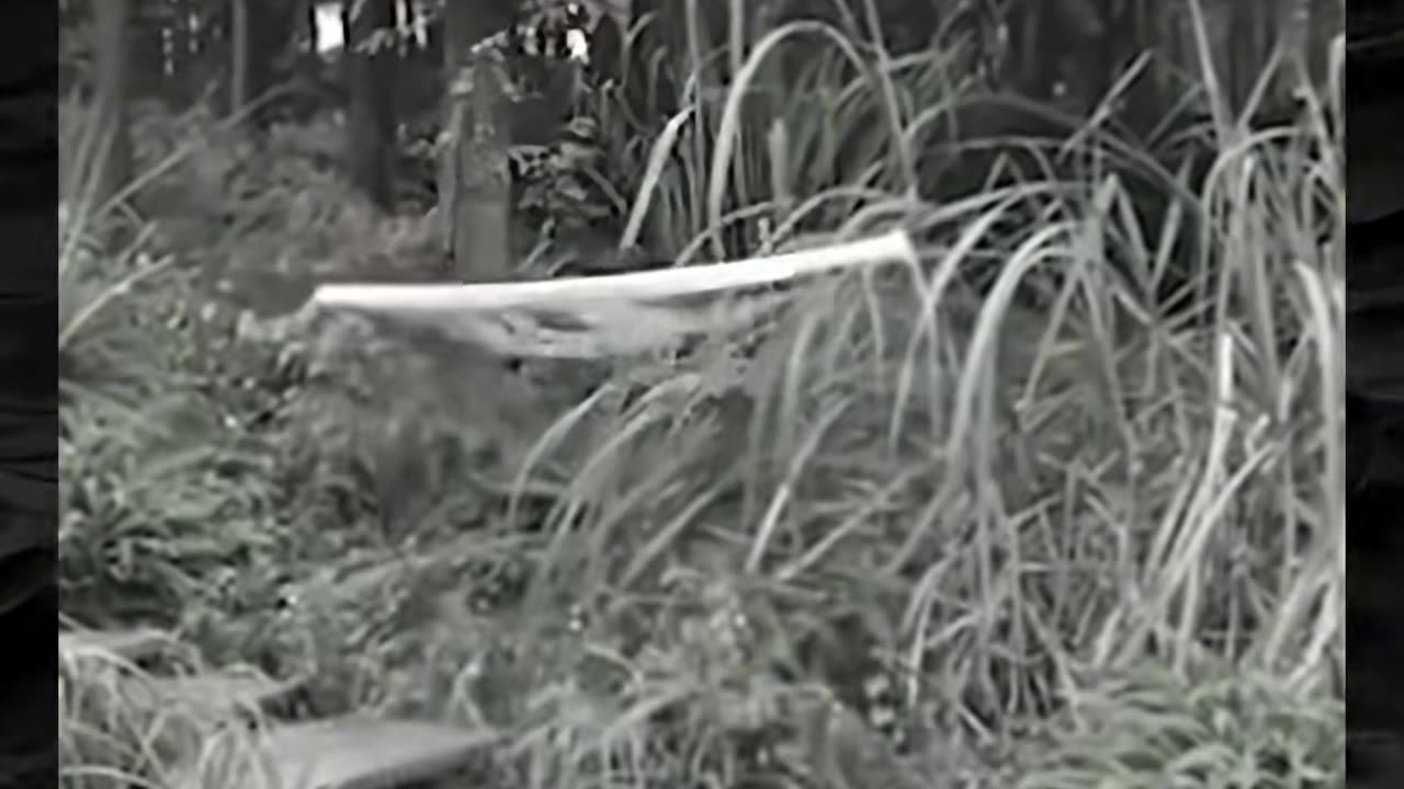 👀💀 Creepy Shadows Caught Moving on Camera! | TheHauntingHour