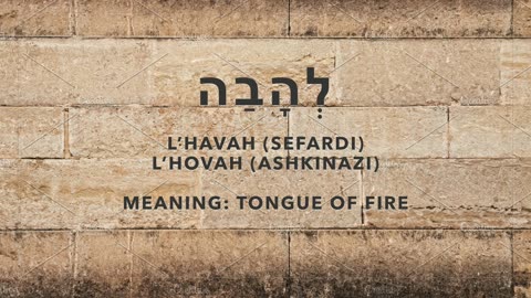 The ל