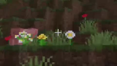 I Messed Up! #maskedanon #minecraft #meme