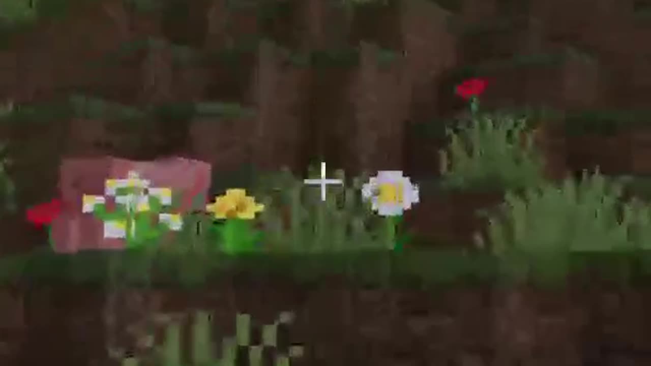 I Messed Up! #maskedanon #minecraft #meme