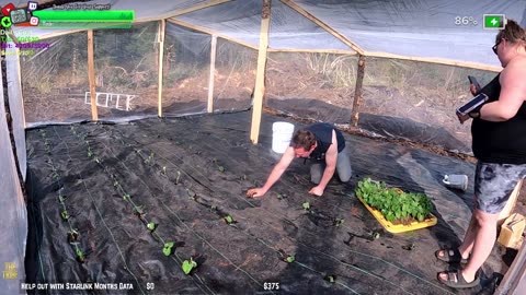 Day 343 Building Twitch's BIGGEST GARDEN HOMESTEAD/ FARMSTEAD REMOTE Isolated ALASKAN Village | !Real !Homestead