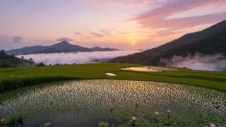 Deepen Your Peace