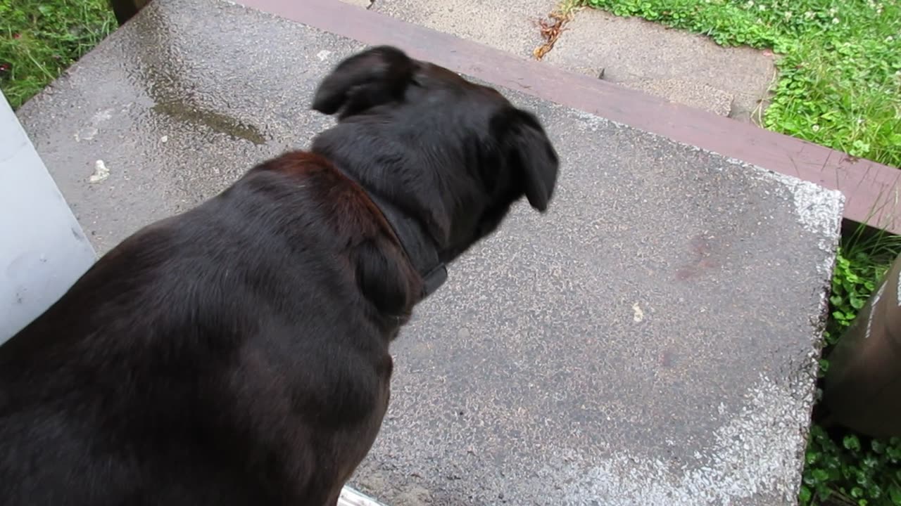 Thunder Storm July 7 2025