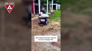 😂😱 Still Riding? This Cat's Reaction Will Make You Laugh! | FunFM