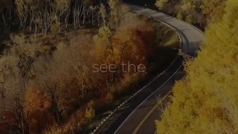 🙏🕊️ Today's Prayer | Find Comfort and Strength in God's Word | InGodWeTrustDaily