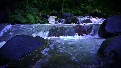 Relaxing Sound of Forest Stream | Nature Music for Deep Relaxation, Meditation and Sleep
