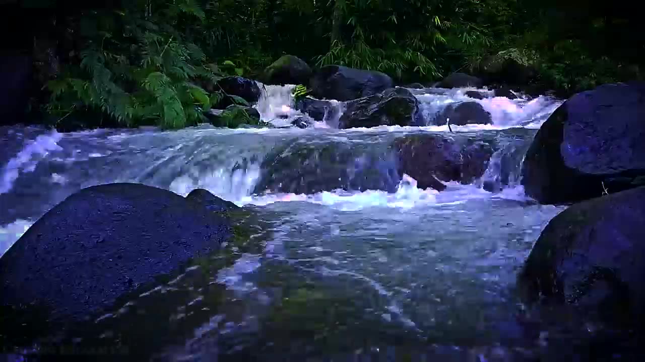Nature Sounds of Forest River | Relaxing Atmosphere for Meditation and Sleep