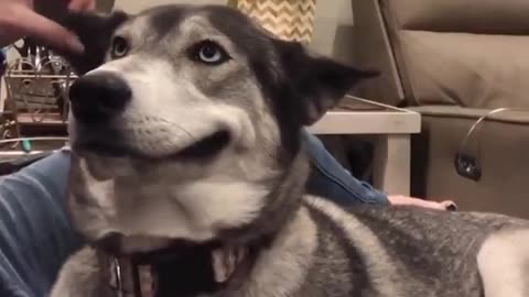 Woe Day 60. I am in the ark. Waiting for GOD to open the Door for a spring/summer Pentecost rapture