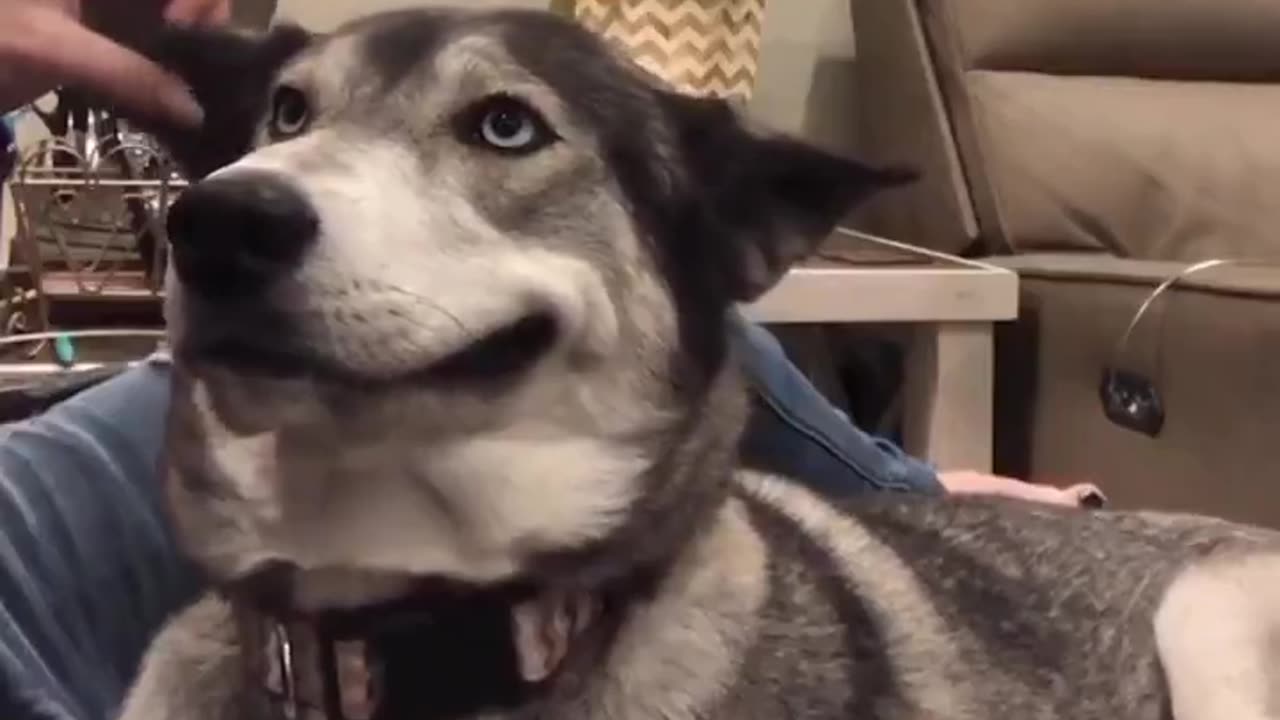 Woe Day 60. I am in the ark. Waiting for GOD to open the Door for a spring/summer Pentecost rapture