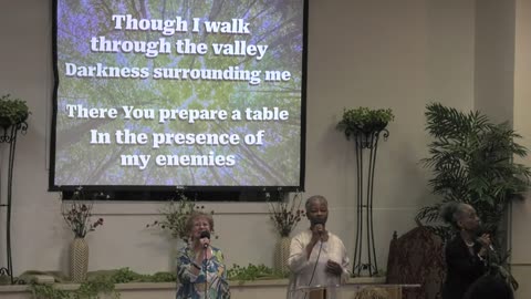 The Blood - Terri Copeland Pearsons