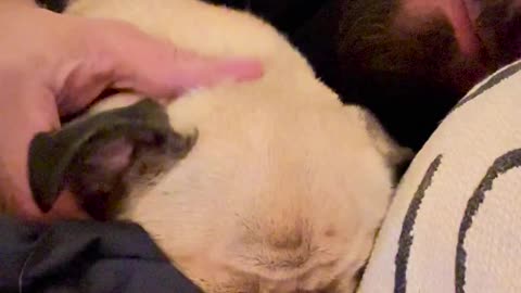 🤯🔥 This Ear Rub Will Change How You Wake Up! | FunFM