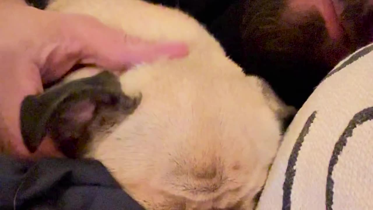 🤯🔥 This Ear Rub Will Change How You Wake Up! | FunFM