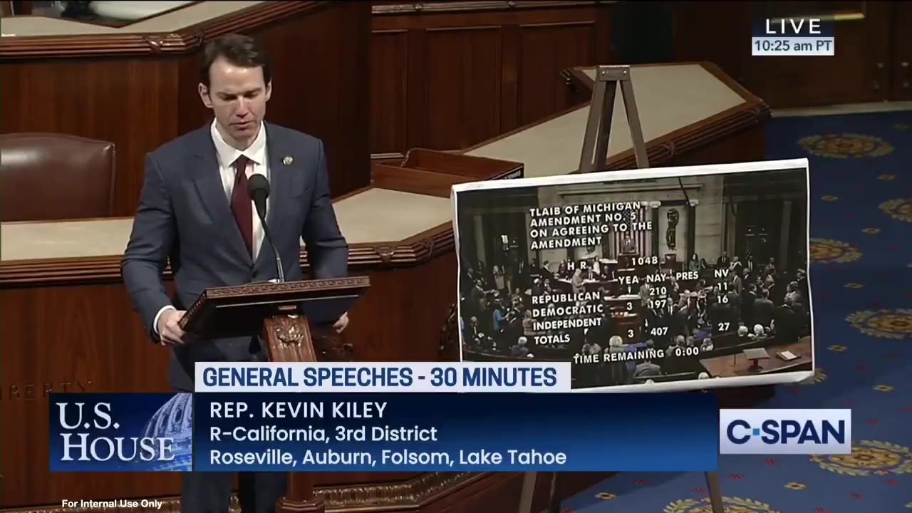 Fail: Rashida Tlaib Amendment Goes DOWN IN FLAMES 407-3