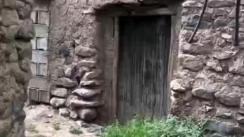 روستای طارم