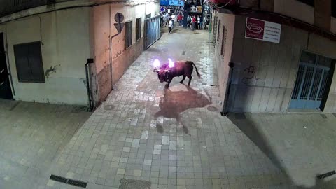 TOROS EMBOLADOS 20 mayo FIESTAS SANTA QUITERIA 2025