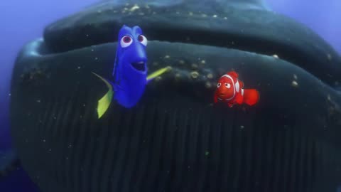 Finding Nemo Whale